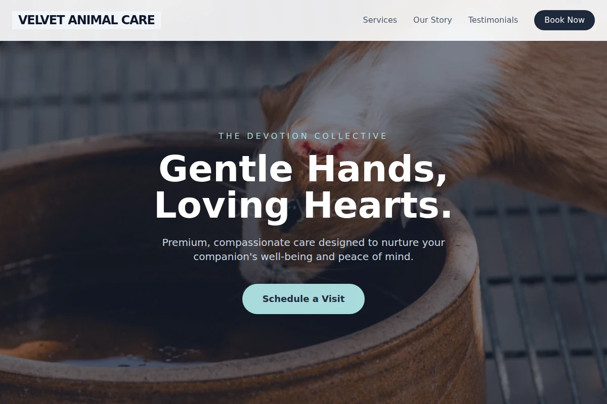 Velvet Animal Care